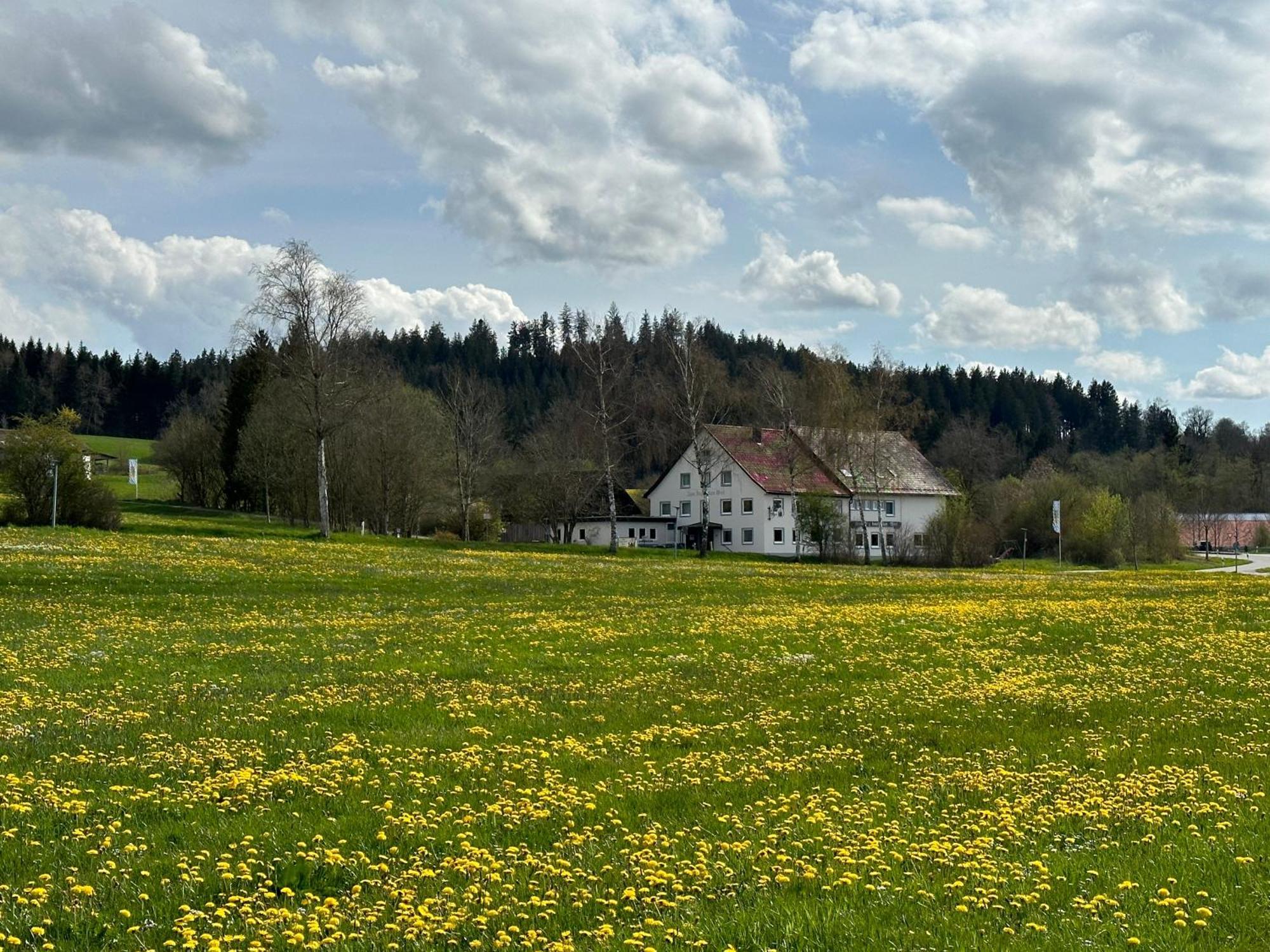 Hotel Zum Bayrischen Wirt Maierhöfen Exterior foto